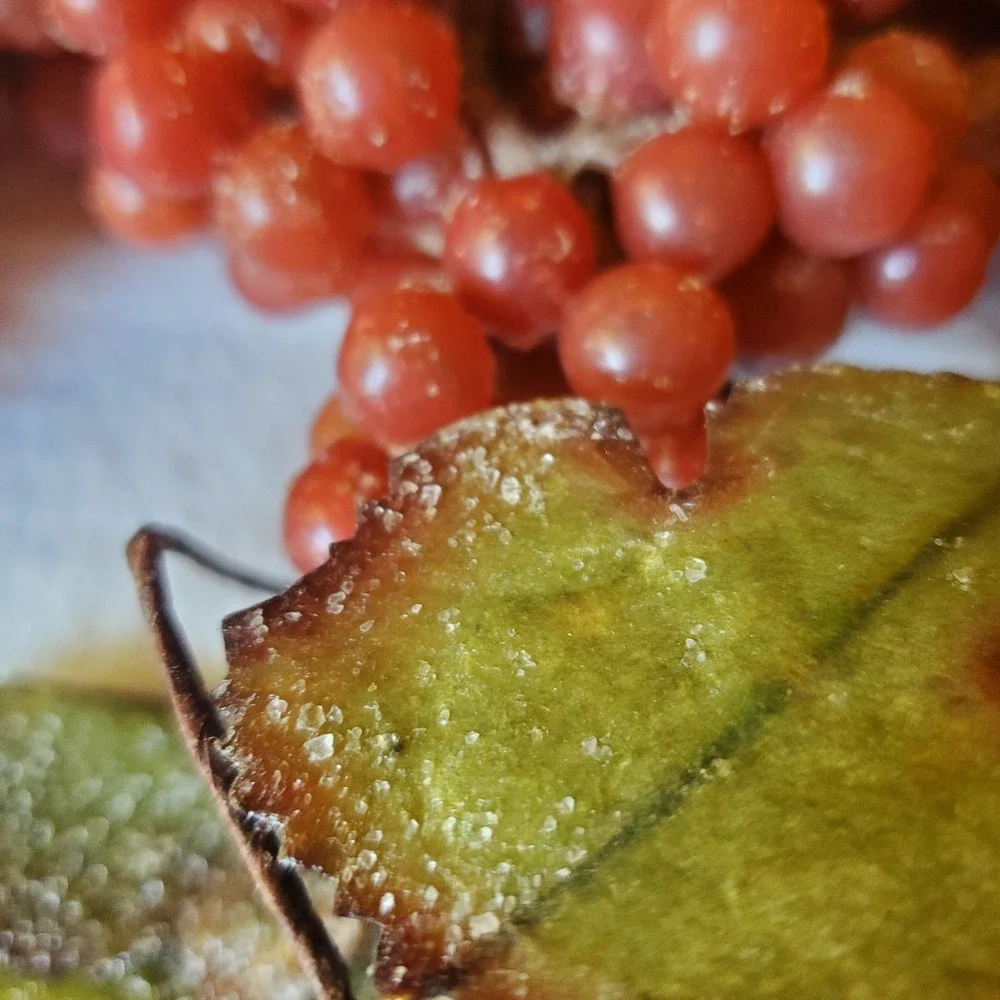 4 Bunches Vintage Frosted Rubber Grapes Faux 6